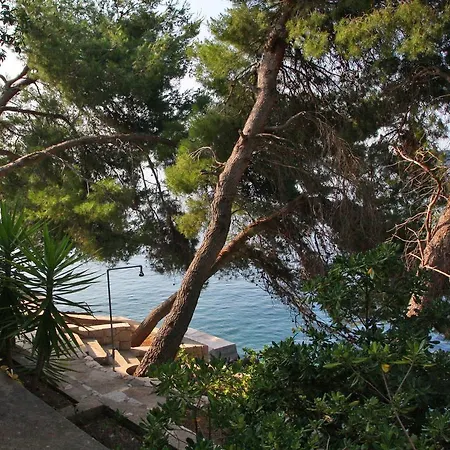 Διαμέρισμα Viki.1 Prizba